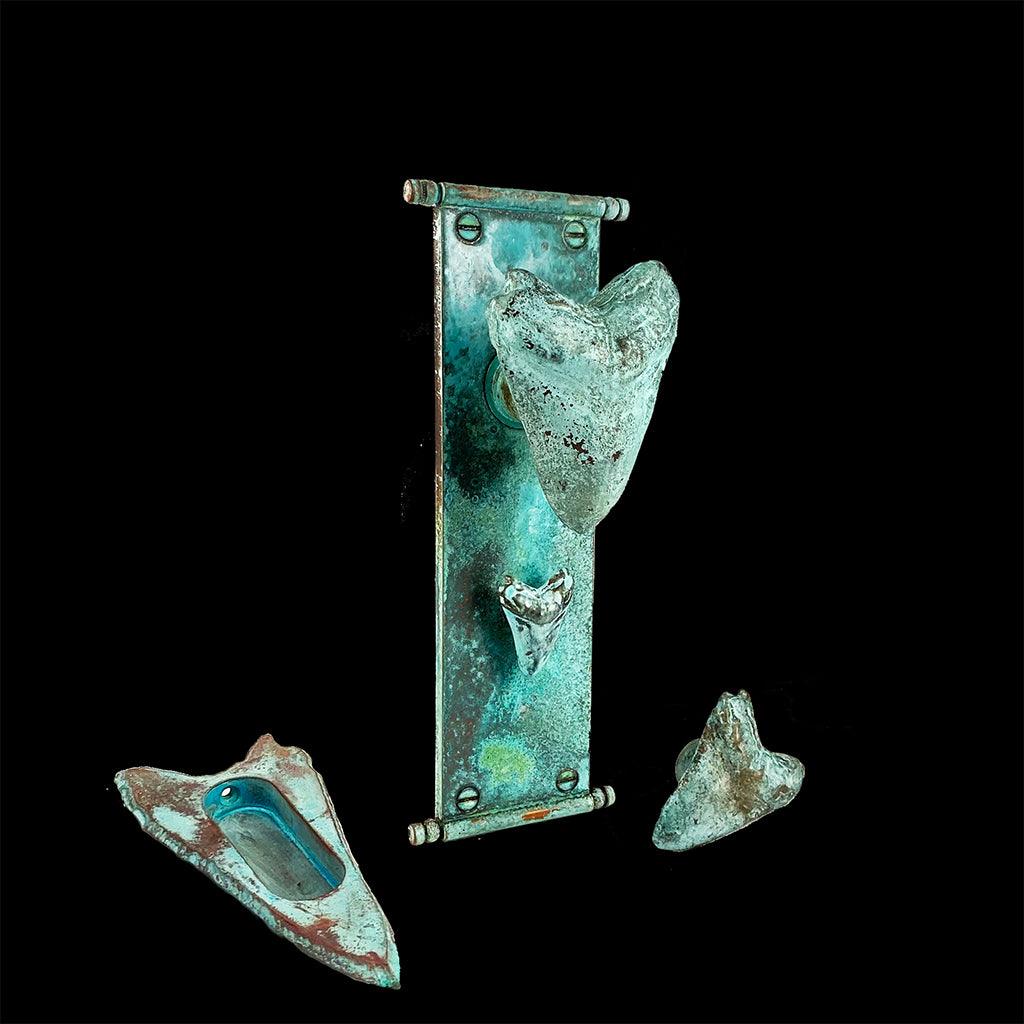 4937 Shark - Sasha Bikoff – SA Baxter